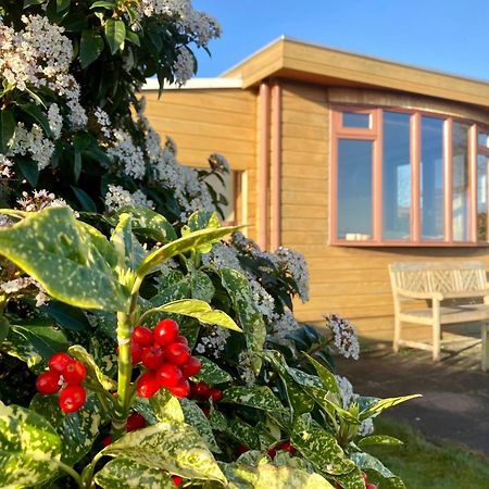 3 Pers. Holiday Home Sonnenschein With Fenced Garden And Infrared Sauna Anjum Εξωτερικό φωτογραφία