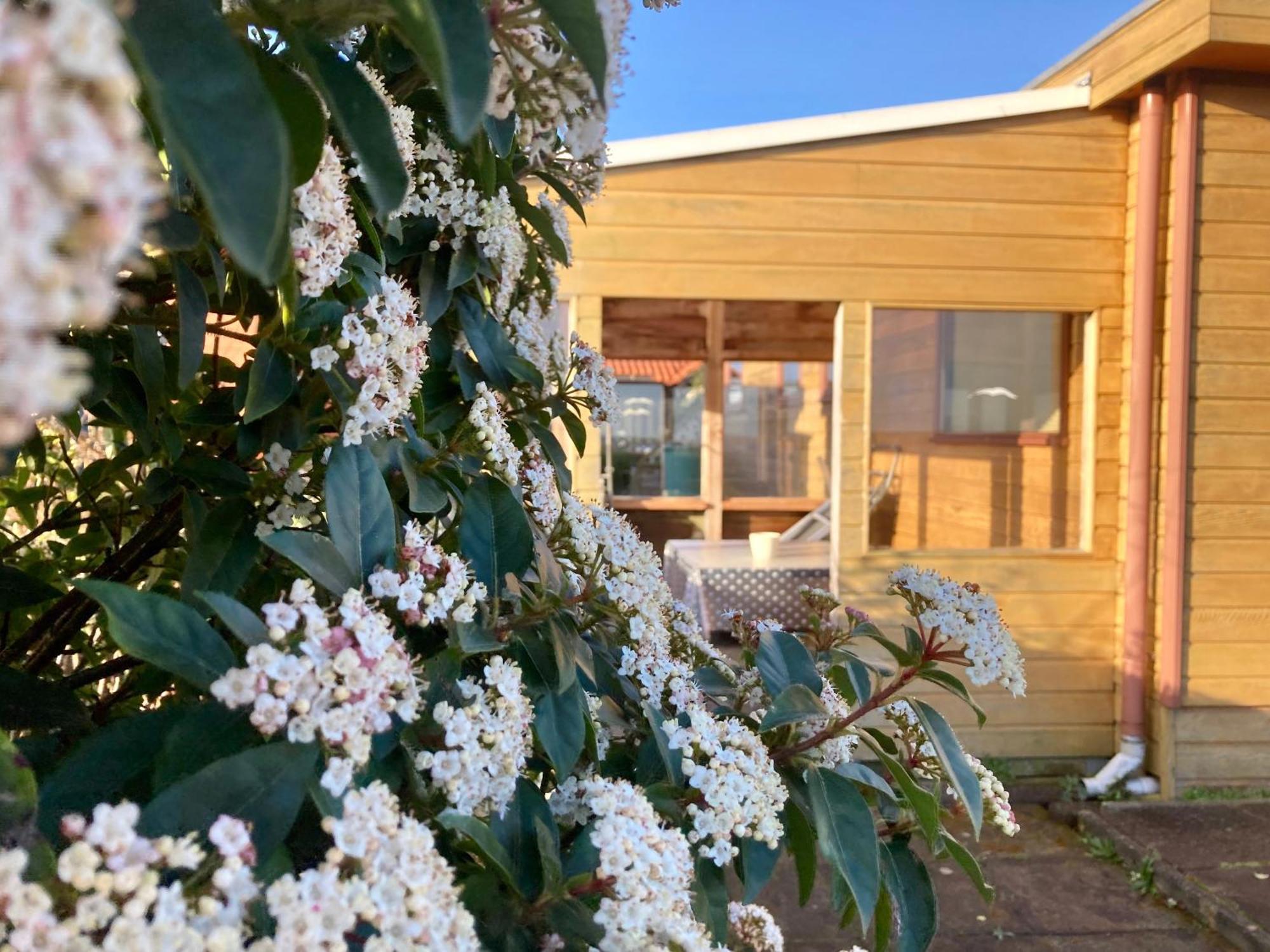 3 Pers. Holiday Home Sonnenschein With Fenced Garden And Infrared Sauna Anjum Εξωτερικό φωτογραφία
